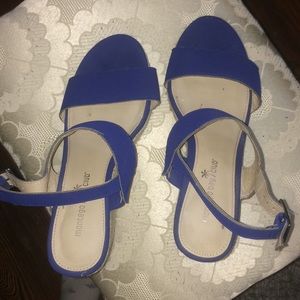 Four in. Royal Blue Wedges